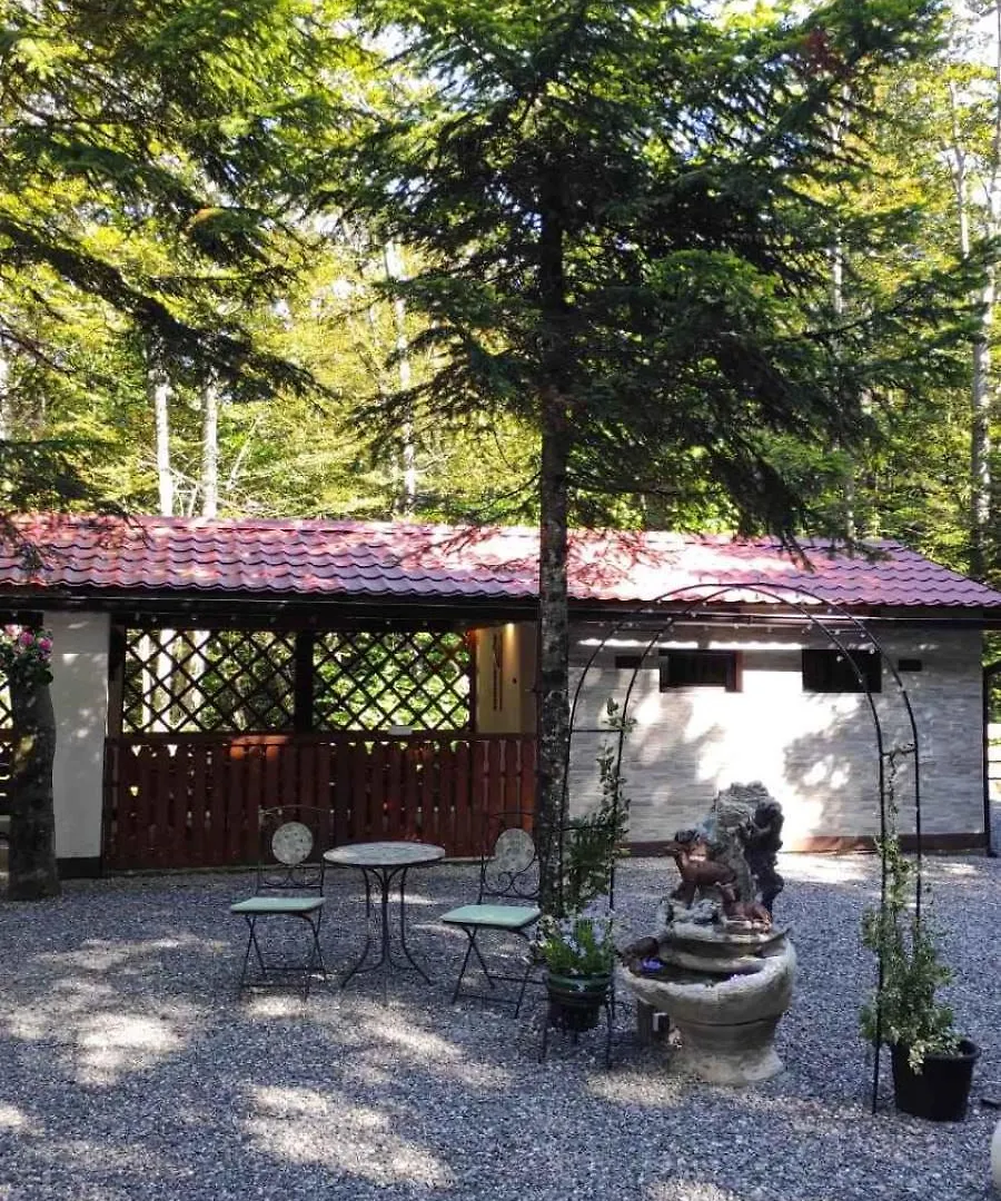 Holiday Home In Bribir 53135